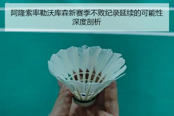 阿隆索率勒沃库森新赛季不败纪录延续的可能性深度剖析