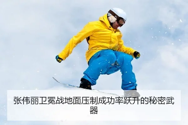zhang-wei-li-wei-mian-zhan-di-mian-ya-zhi-cheng-gong-lv-yue-sheng-de-mi-mi-wu-qi-2-687.jpg