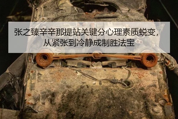 zhang-zhi-zhen-xin-xin-na-ti-zhan-guan-jian-fen-xin-li-su-zhi-tui-bian-cong-jin-zhang-dao-leng-jing-cheng-zhi-sheng-fa-3-873.jpg