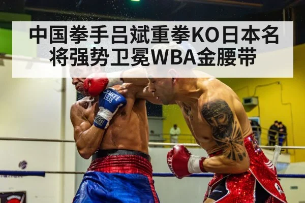 中国拳手吕斌重拳KO日本名将强势卫冕WBA金腰带